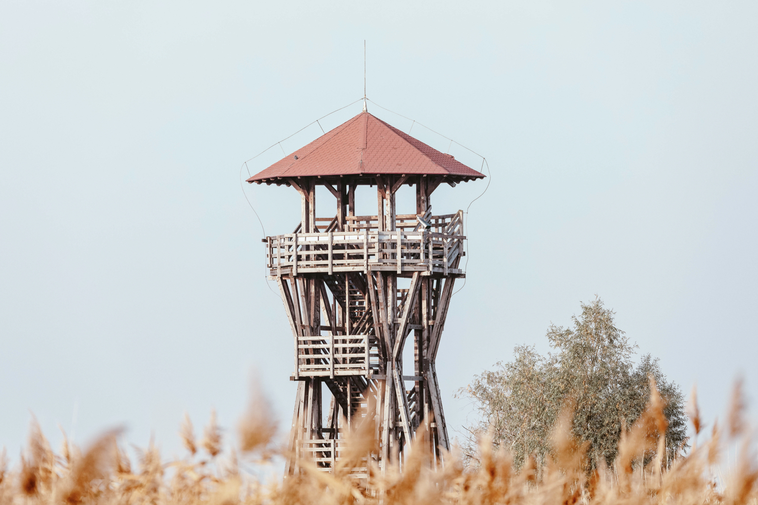 Merveilleux de nature