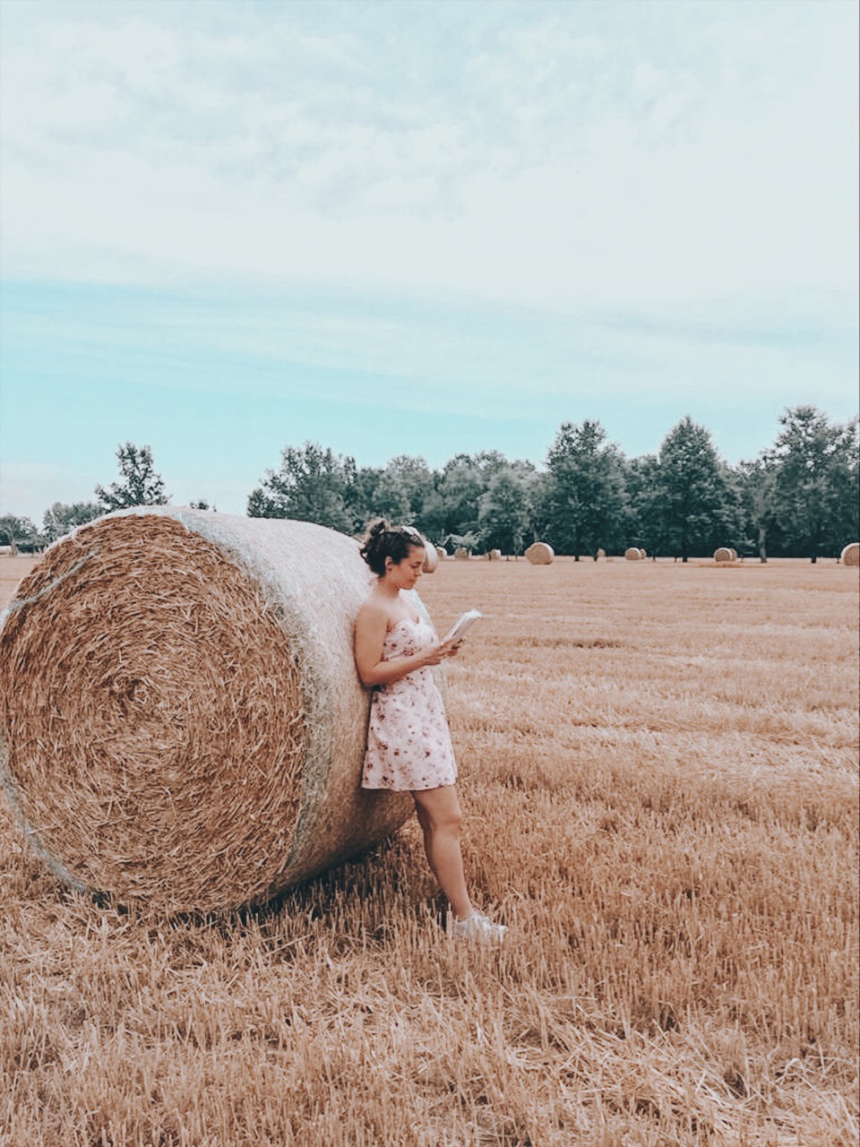 Voyager, littéralement