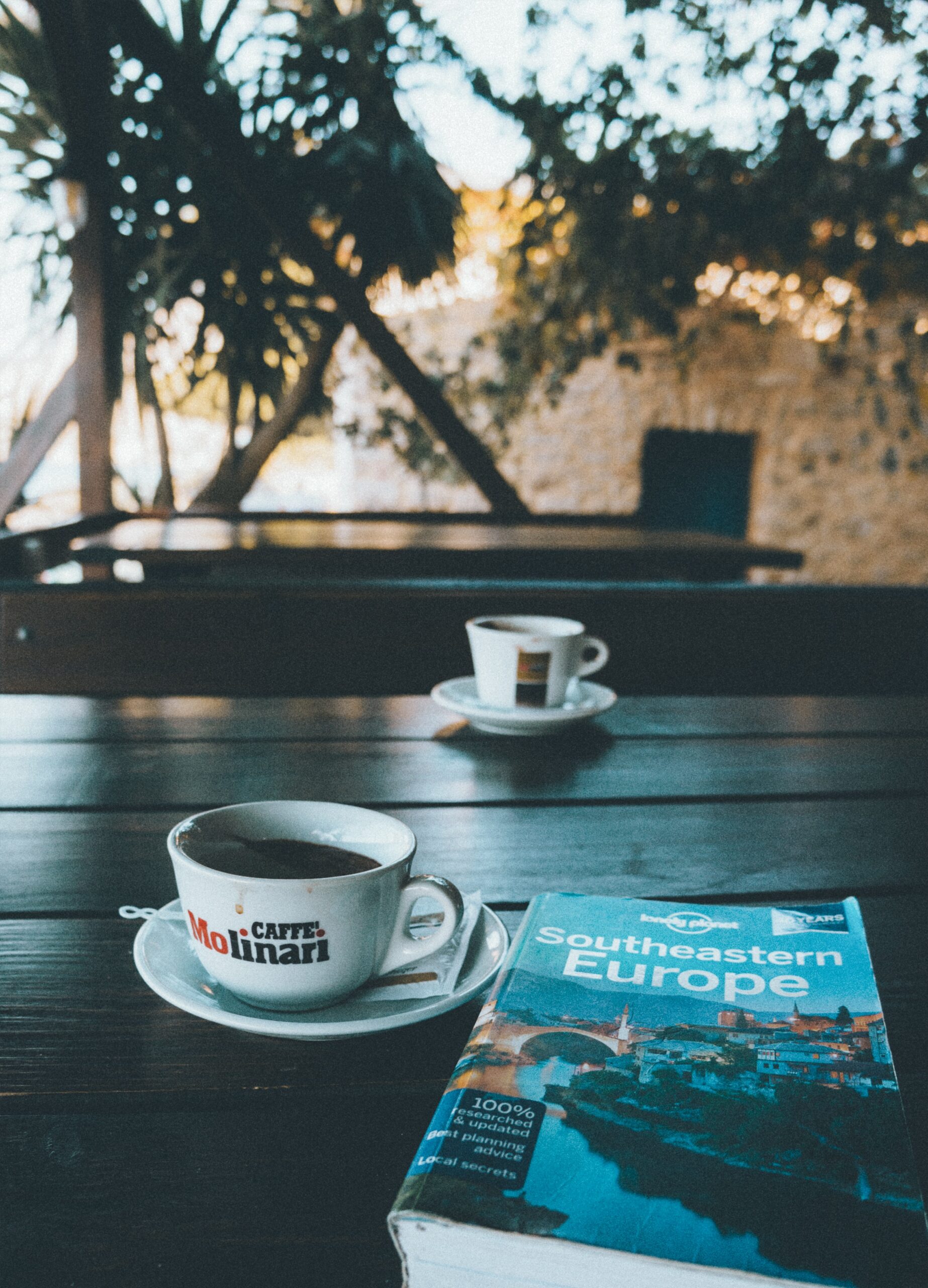 Voyager, littéralement