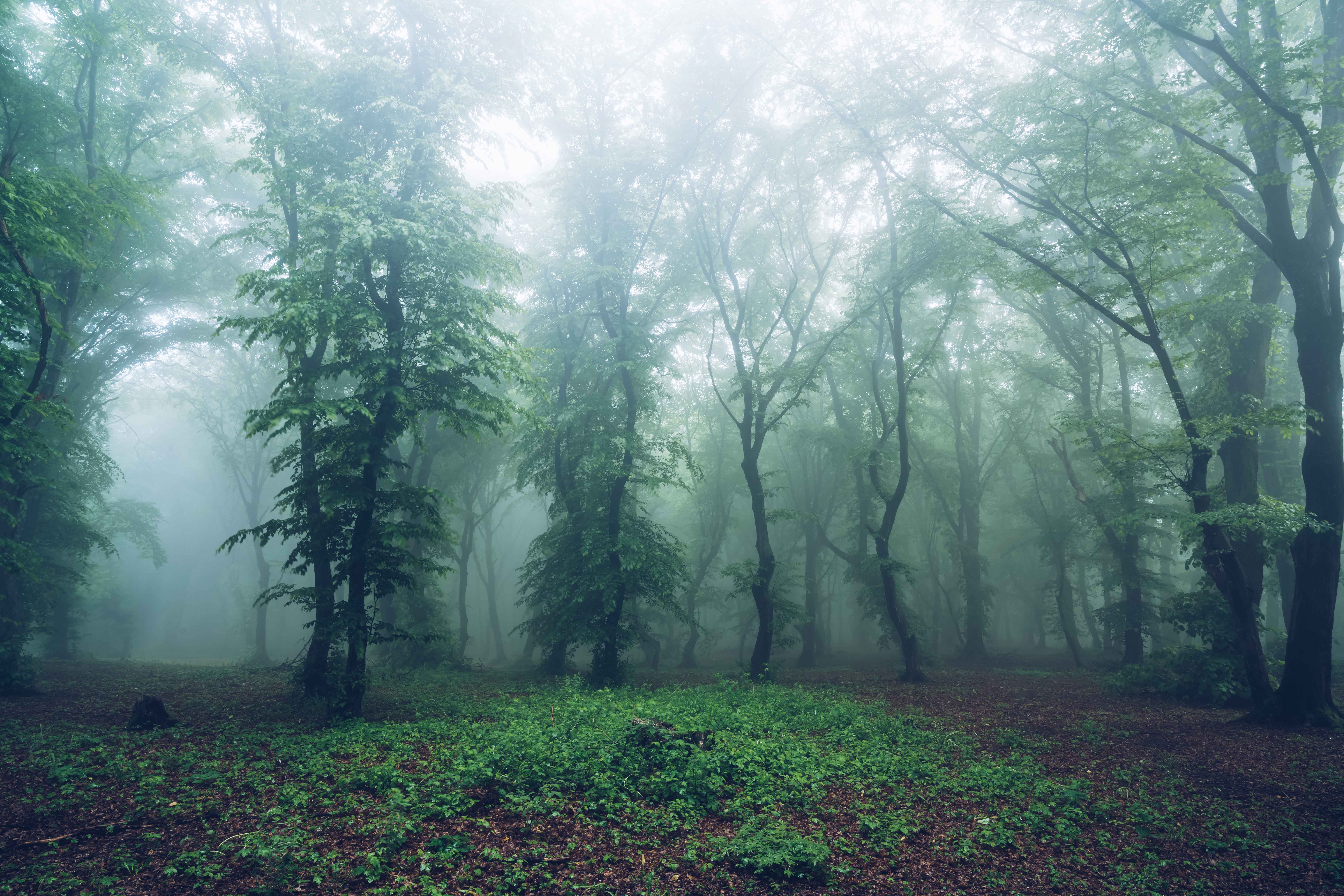 Friandises ou bêtises ? Vivez un Halloween épouvantablement spectaculaire