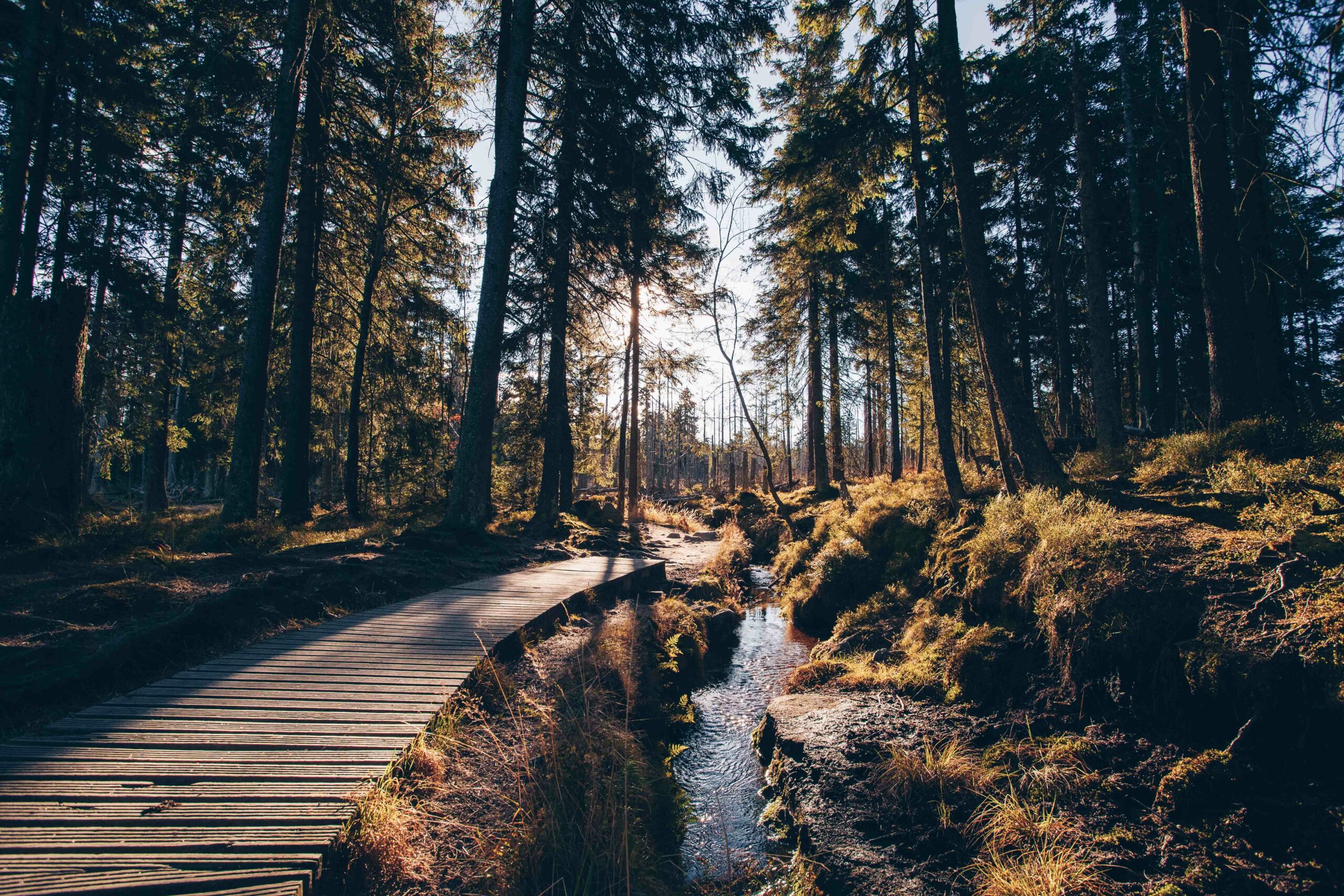 Friandises ou bêtises ? Vivez un Halloween épouvantablement spectaculaire